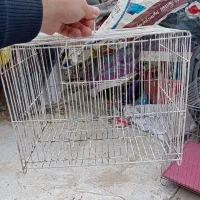 یک عد قفس پرنده کوچک