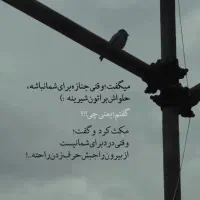 یک عدد کیف پول گم کردم