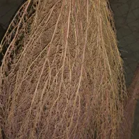 جارو آماده