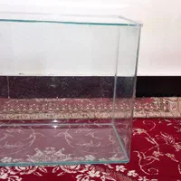 اکواریوم۱۰۰ لیتری|ماهی|دوگنبدان, |دیوار