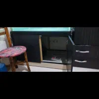 اکواریوم بزرگ|ماهی|تهران, مسعودیه|دیوار