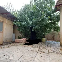 177متر-زمین-داخل-بافت-جاده-چالوس-روستا-خور