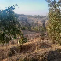 باغ ۱۱۰۰ متری با ویو رودخونه فنس کشی شده|فروش زمین و ملک کلنگی|خلجستان, |دیوار