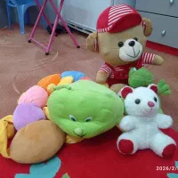 چهار عدد عروسک