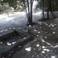 سویت اجاره ای روستای نسمه|اجارهٔ کوتاه‌مدت آپارتمان و سوئیت|پاوه, |دیوار