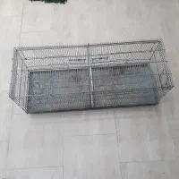 قفس پران|لوازم جانبی حیوانات|قشم, |دیوار