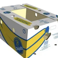 کارتن موز