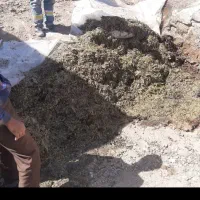 سیلو ذرت تناژ بالا|عمده‌فروشی|طرقبه, |دیوار