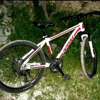 دوچرخه ۲۴اینتنز