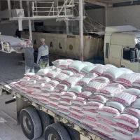 پخش گچ سمنان مومن آباد،سوپر نگین گیپتون آزادی|مصالح و تجهیزات ساختمان|قم, دانش|دیوار