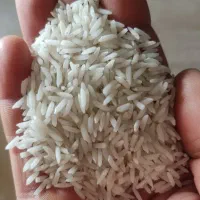 برنج طارم هاشمی درجه یک خالص
