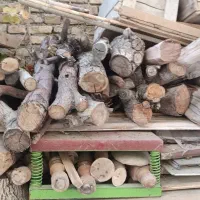 فروش چوب زغال و سوزوندنی و خاک اره به قیمت عمده|خدمات باغبانی و درختکاری|بروجن, |دیوار