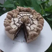 کیک|خوردنی و آشامیدنی|مشهد, امیریه|دیوار