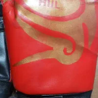 دستکش ووشو|تجهیزات ورزشی|هشتگرد, شهرک آپادانا|دیوار