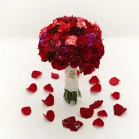 ** تالار رایگان بدون ورودی ** طرقبه شاندیز