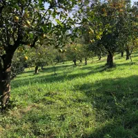 267-متر-زمین-چشم-انداز