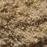 فروش کاه لوبیا نرم