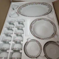 سرویس ۱۲ نفره چینی زرین طرح گلستان آکبند