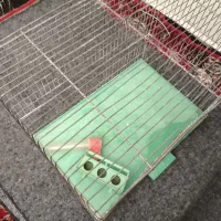 قفس کبوتر با قیمت مناسب