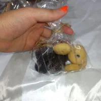 سفارش انواع کوکی کیک کلوچه شیرینی با انواع طعم ها|خدمات پذیرایی، مراسم|اهواز, زندوکیلی|دیوار