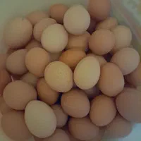 تخم مرغ محلی گلپایگانی