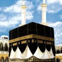 خرید۳الی ۷عدد فیش حج تهران (کارگزاری)|تور و چارتر|تهران, سلسبیل شمالی|دیوار
