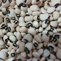 لوبیا محلی کاملا خشک شده تازه