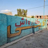 استخدام نیروی کارواش