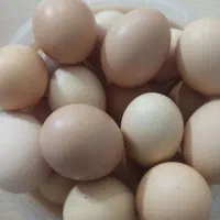 تخم مرغ خانگی