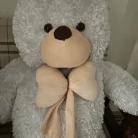 خرس بزرگ