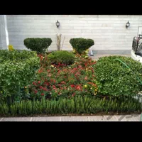 خدمات.باغبانی باتخفیف ویژه درخدمت مشتری|خدمات باغبانی و درختکاری|تهران, سهروردی|دیوار