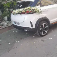 گلکده گلرنگ|گل و گیاه طبیعی|کرج, خرمدشت|دیوار