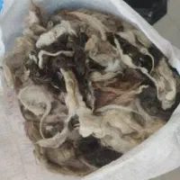 پشم گوسفند