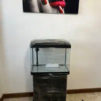 آکواریوم نو k580|ماهی|شیراز, ارم|دیوار
