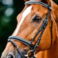 آموزش نقاشی کودکان و بزرگسالان|خدمات آموزشی|ساوه, |دیوار