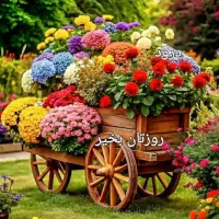 به یک همکار خانوم نیازمندیم