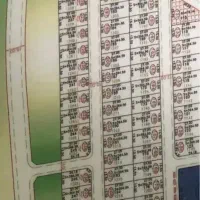زمین-زیتون-دو-بر365متری
