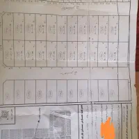 زمین سلکباف 56