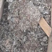 کودکفتر