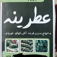 سبزیجات عطرینه طعمی متفاوت