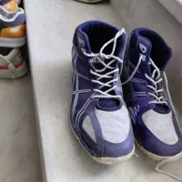 کفش والیبال ورزشی|کیف، کفش، کمربند|بم, |دیوار