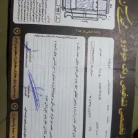 پژو۴۰۵ طرح slx توکرم|خودرو سواری و وانت|تربت‌حیدریه, پائین ولایت|دیوار