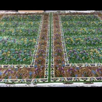 قالیشویی بهاران.وصفنارد.ابوذر.یافت آبادشهرک ولیعصر