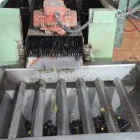 روغن زیتون|خوردنی و آشامیدنی|یاسوج, |دیوار