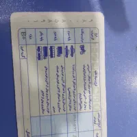 مدارک پیدا شده.علیرضا شهبازی