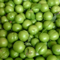 گوجه سبز شیرین و آبدار