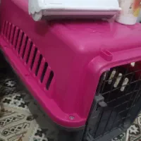 باکس گربه نو اسپری گره باز کن و غلطک پرزگیر