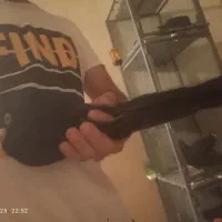 صرب|پرنده|زیباشهر, |دیوار