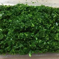 خردکردن سبزی  با  دستگاه صنعتی|فروشگاه و مغازه|خرم‌آباد, |دیوار