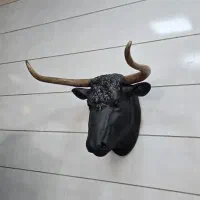 مجسمه کله گاو + دیوار کوب کله گاو